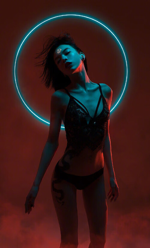 数字体育平台助力篮球运动学科建设,推动行业规范发展,体育数字化