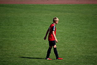 开云中国官网-中国足球俱乐部青训营技术指导持续加强，中国足球青训机构